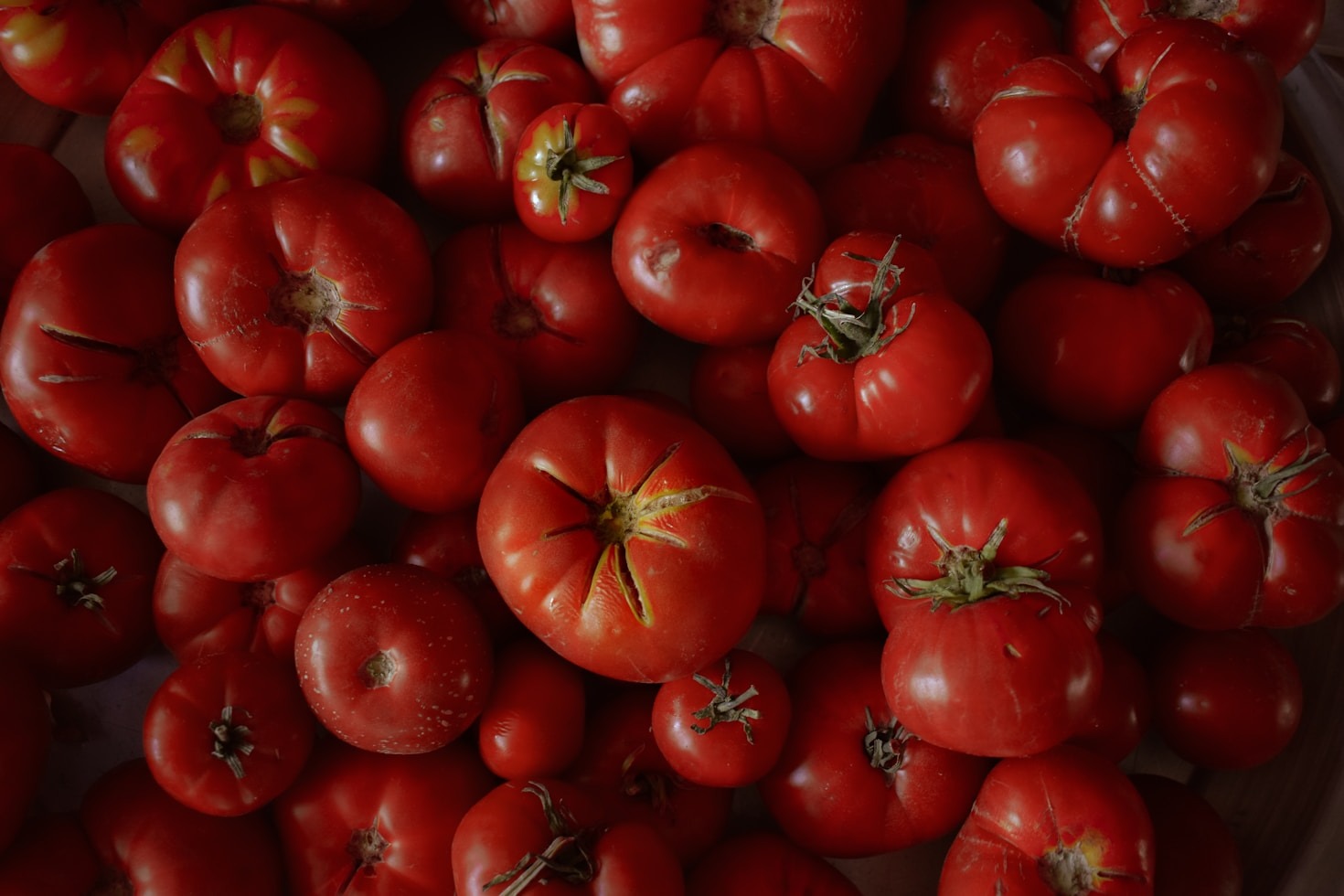 Como os Alimentos Orgânicos Impactam sua Saúde e o Planeta