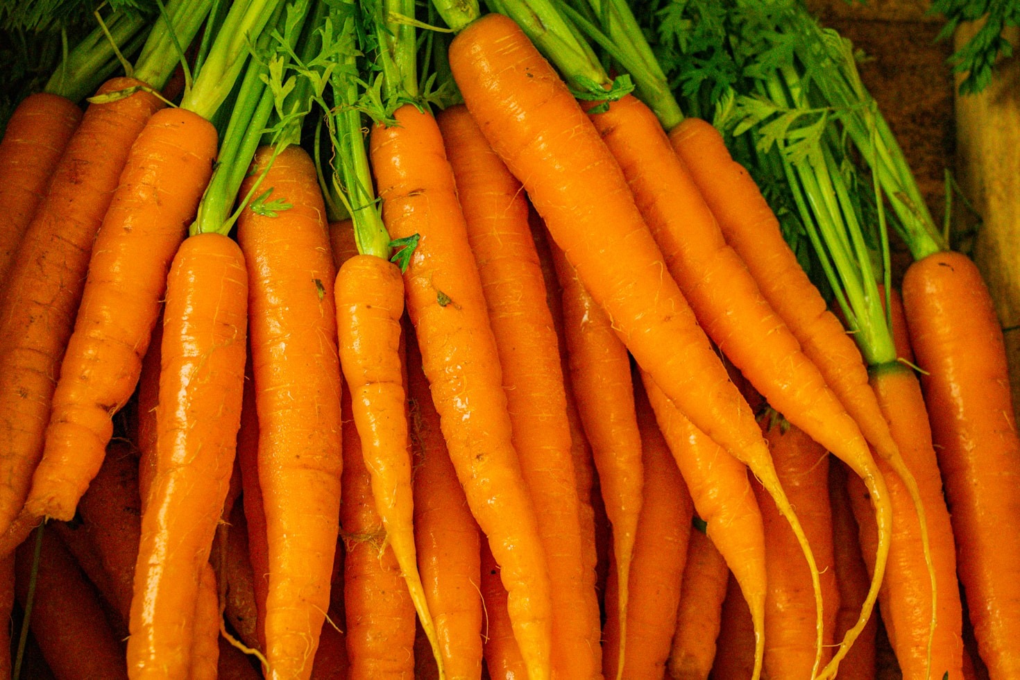 A Importância da Sustentabilidade na Produção de Alimentos